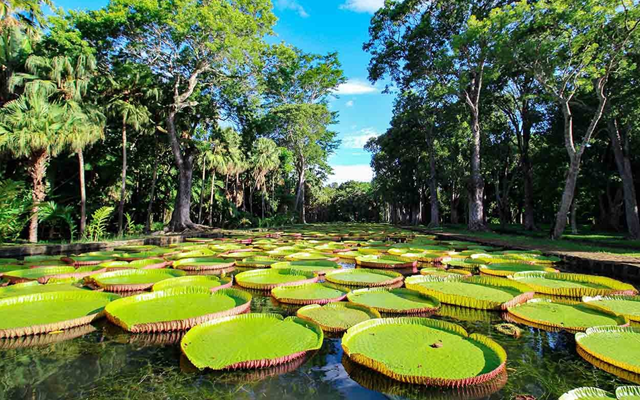 Nordtour Mauritius – Kultur, Geschichte & Küstenlandschaften