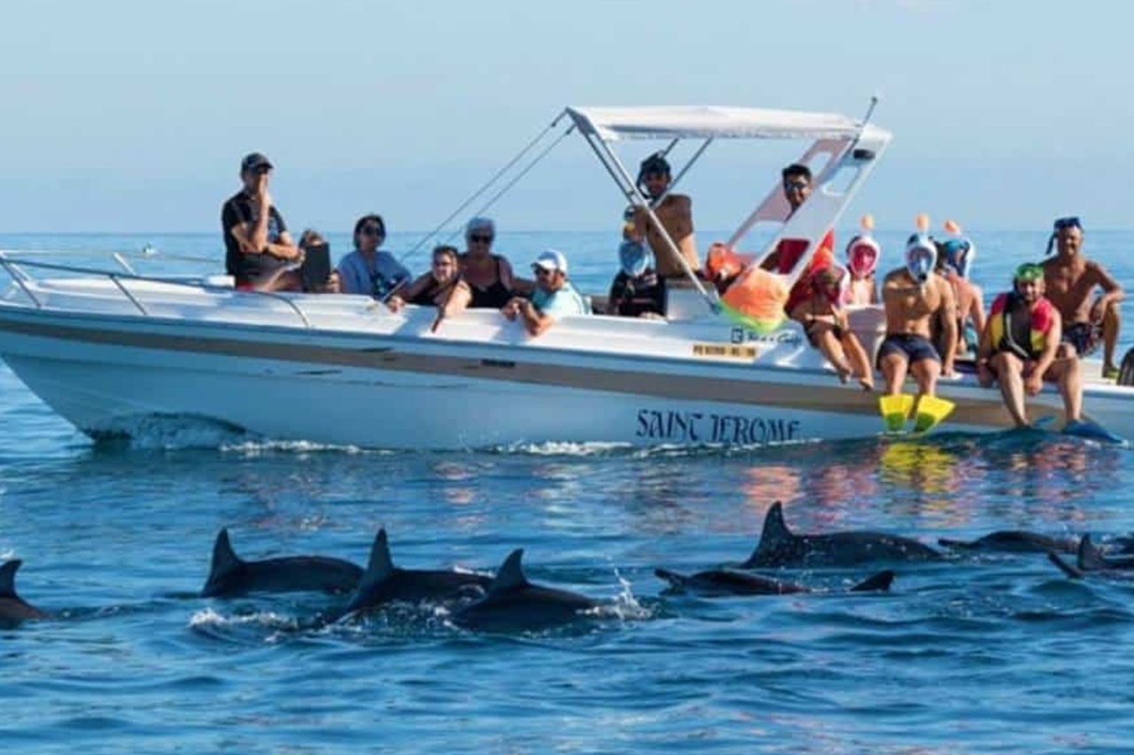 Delfin- & Meeresaktivitäten 2