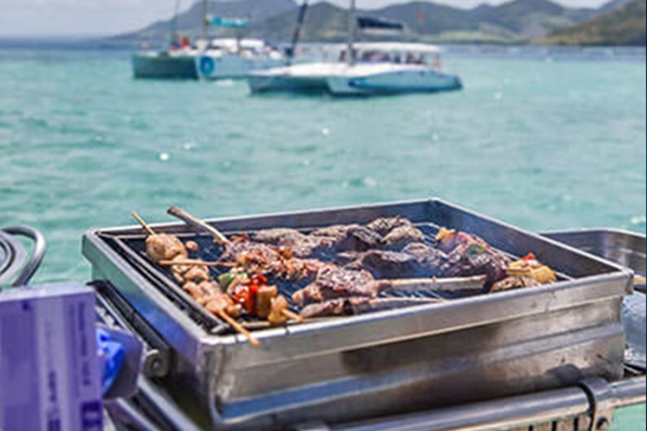 Delfin- & Meeresaktivitäten 4